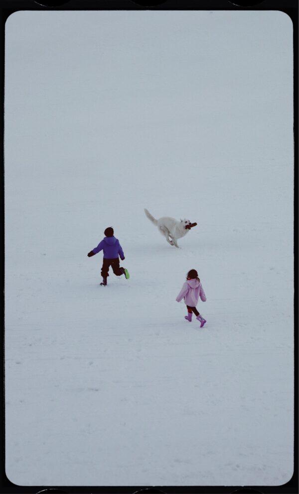  - Image 1 of 8