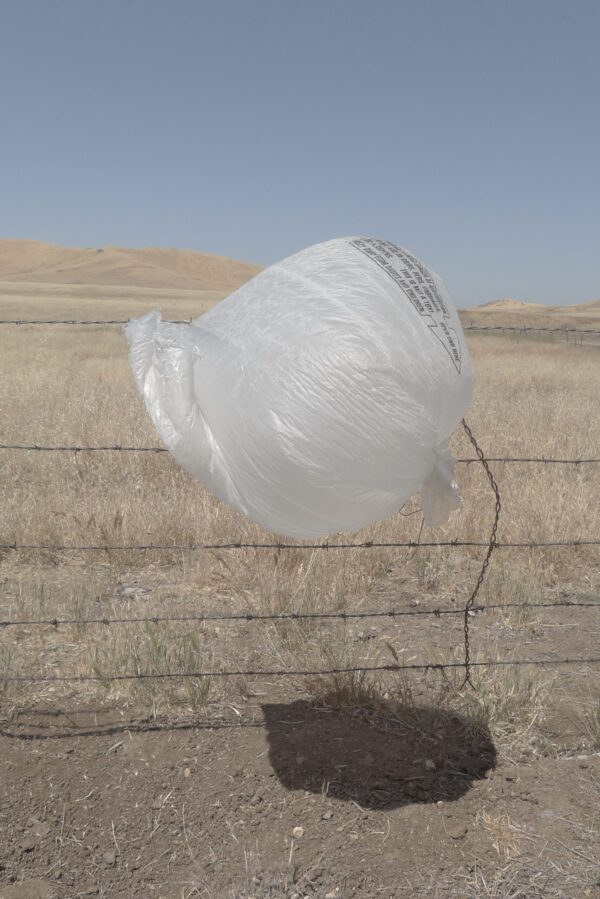  - Image 7 of 8