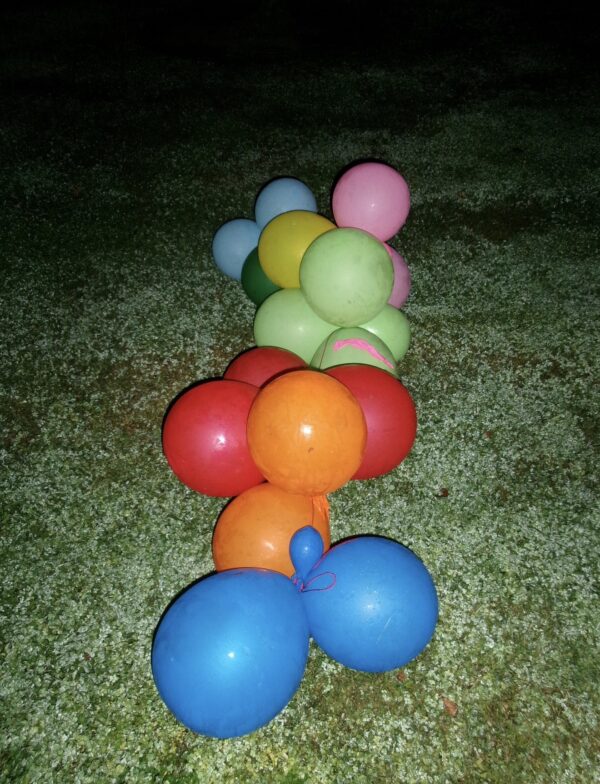  - Image 5 of 8