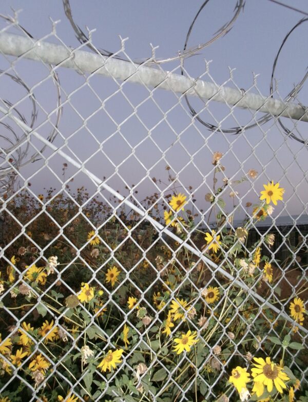  - Image 4 of 8