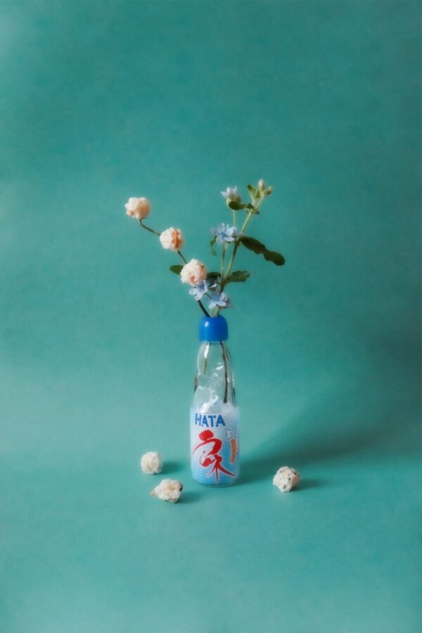  - Image 2 of 6
