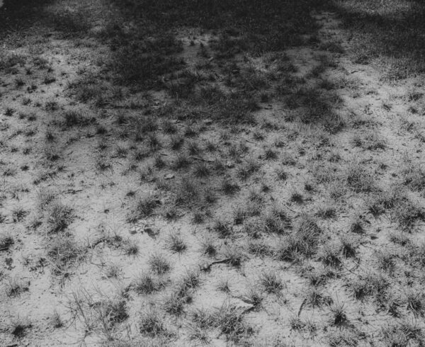  - Image 6 of 7