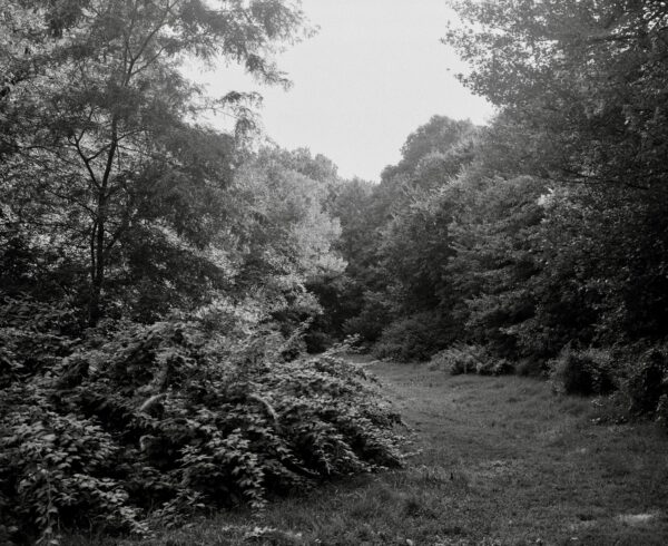  - Image 4 of 7