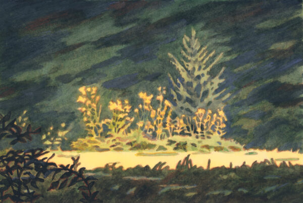  - Image 4 of 8