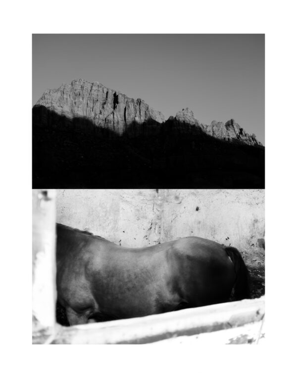  - Image 1 of 8