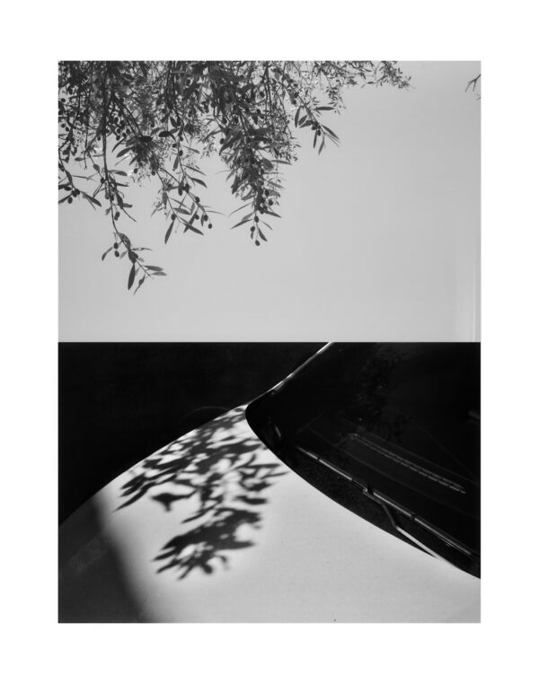  - Image 3 of 8