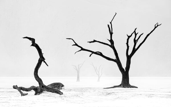 - Image 5 of 5