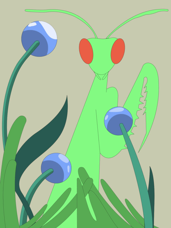  - Image 4 of 8