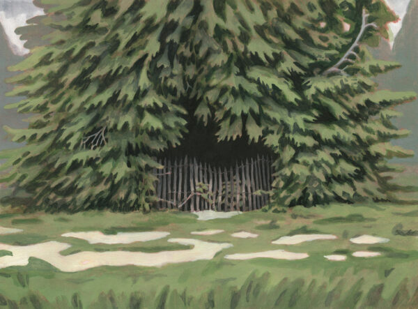  - Image 7 of 8