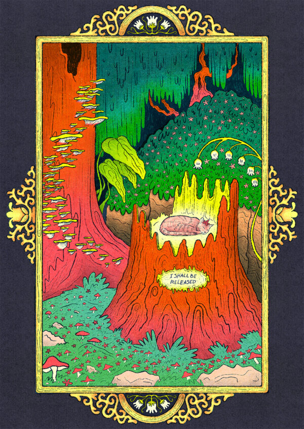  - Image 8 of 8