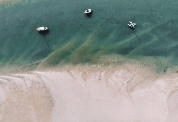  - Image 3 of 8
