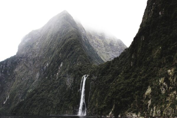  - Image 7 of 8