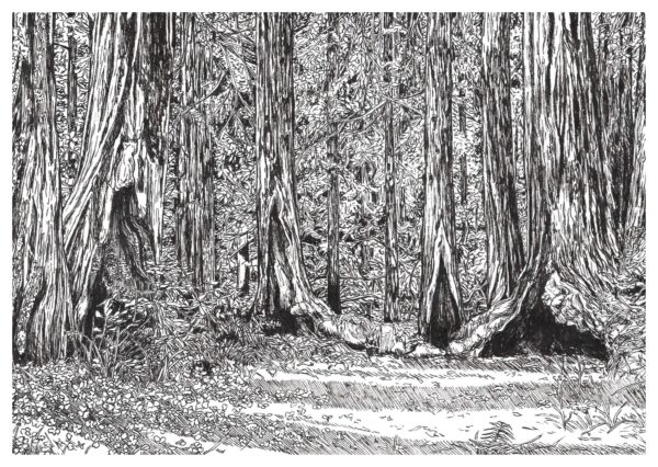  - Image 3 of 6