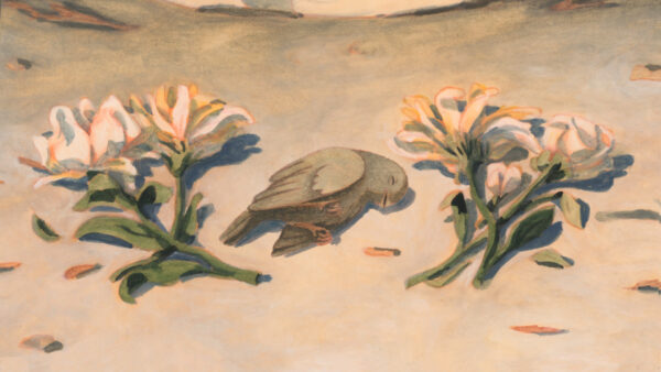  - Image 2 of 8