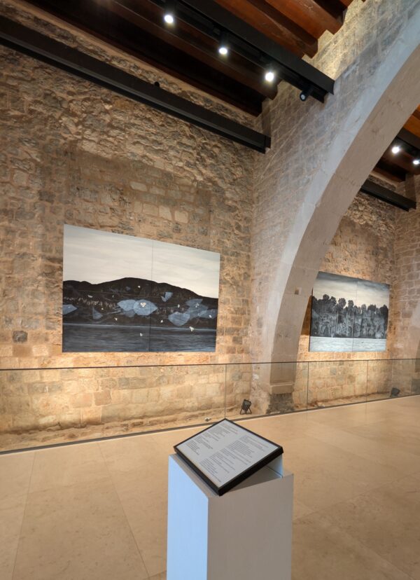  - Image 7 of 8