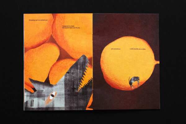  - Image 4 of 8