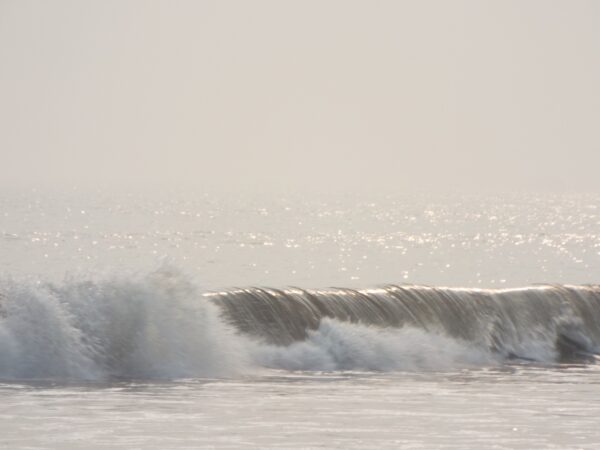  - Image 2 of 6