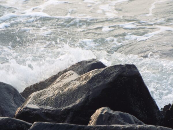  - Image 4 of 6