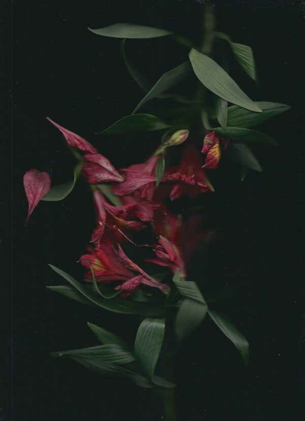  - Image 2 of 8