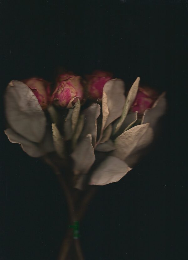  - Image 4 of 8