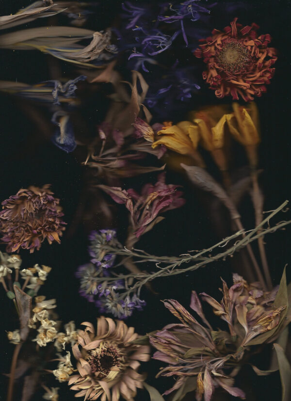  - Image 8 of 8