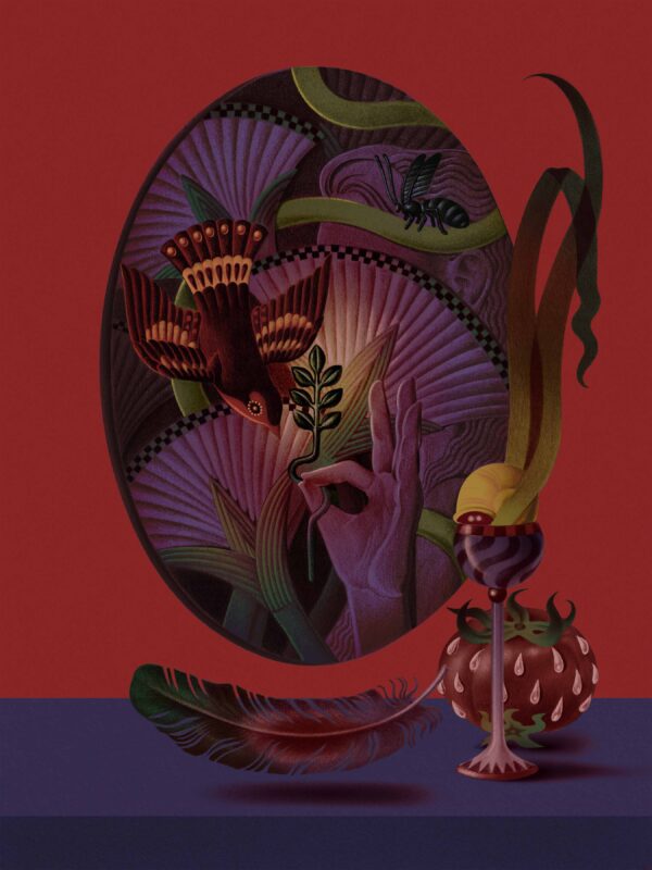  - Image 7 of 7