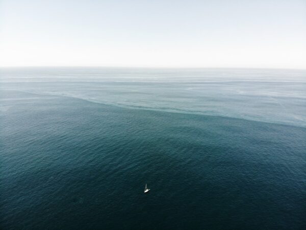  - Image 2 of 8