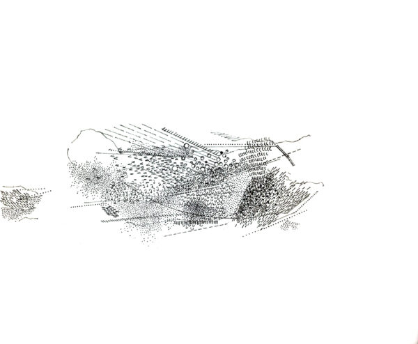  - Image 7 of 8