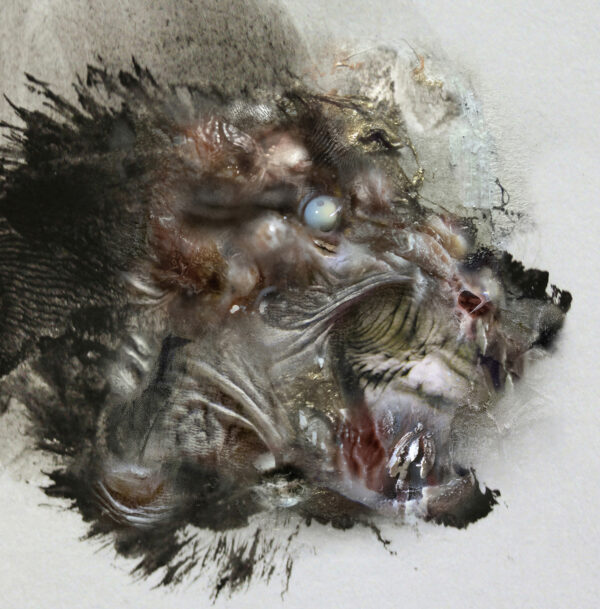  - Image 2 of 8