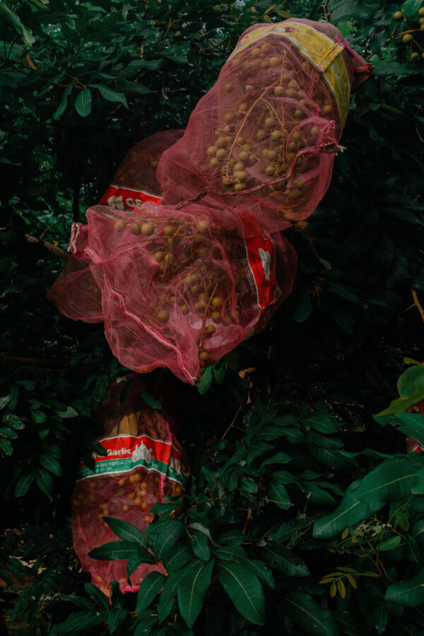  - Image 4 of 8