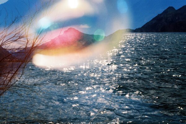  - Image 3 of 8