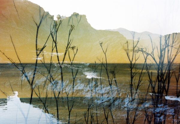  - Image 7 of 8