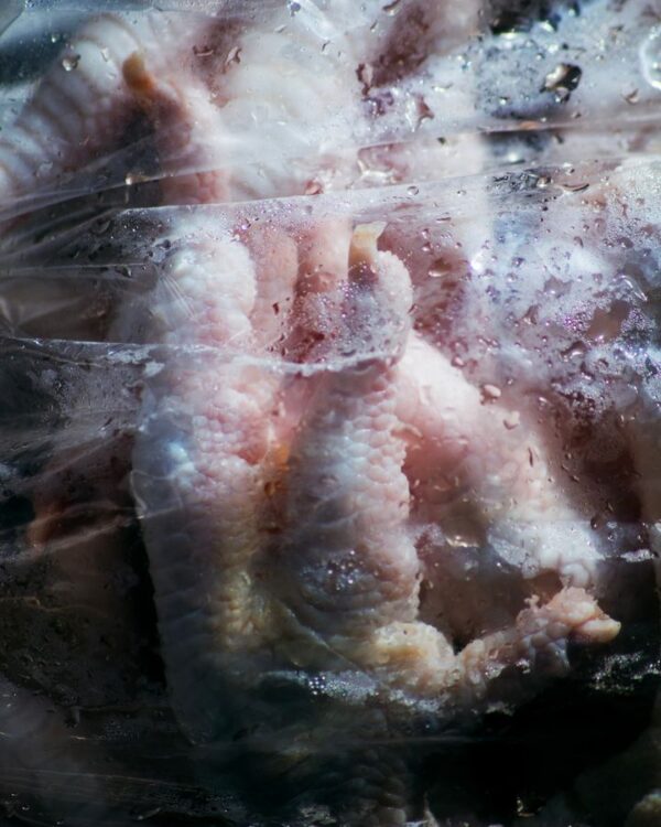  - Image 4 of 8