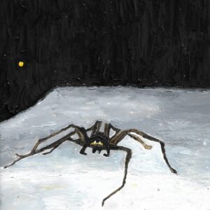 ellen claes