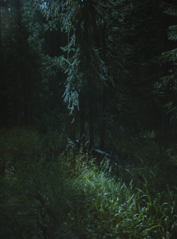  - Image 3 of 8