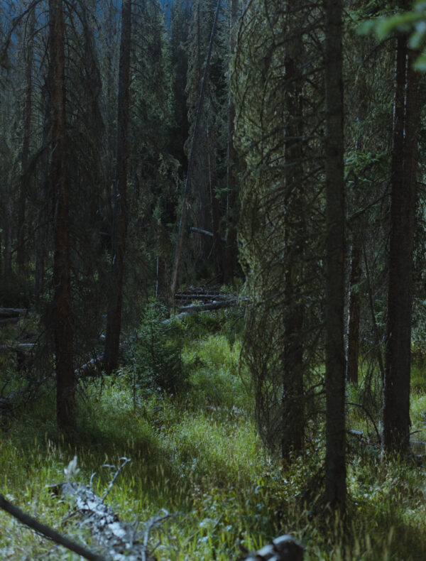  - Image 7 of 8