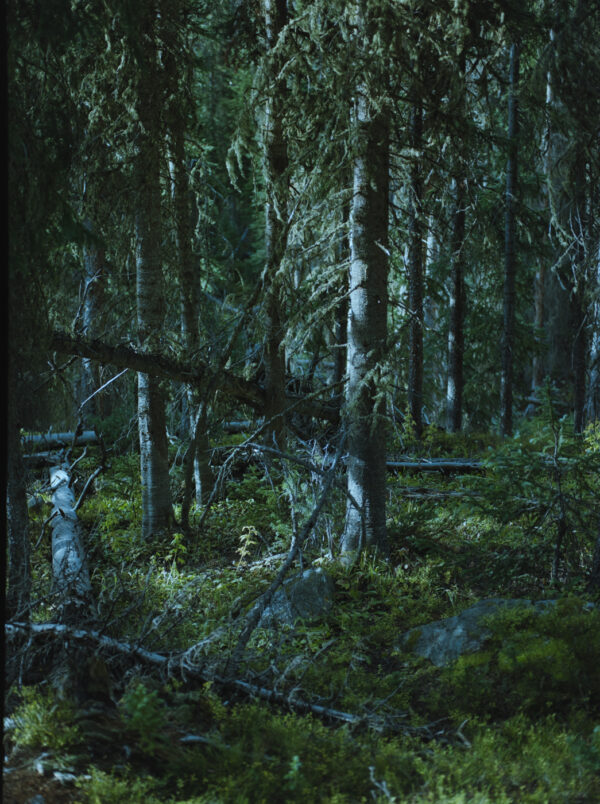  - Image 5 of 8