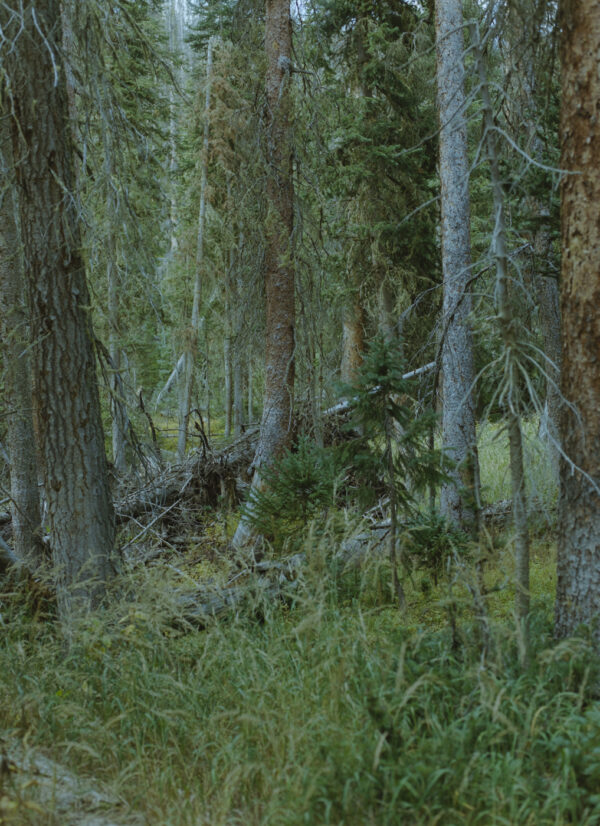  - Image 8 of 8