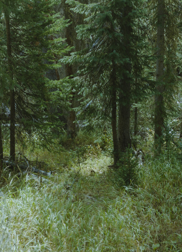  - Image 6 of 8