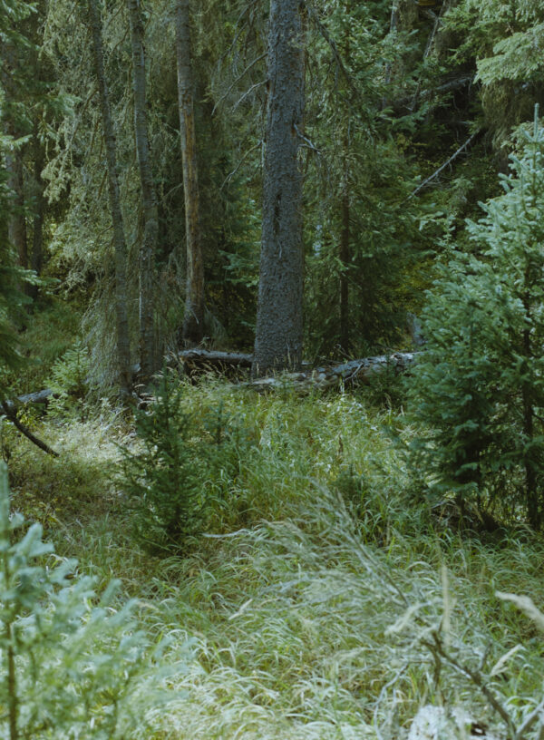  - Image 2 of 8
