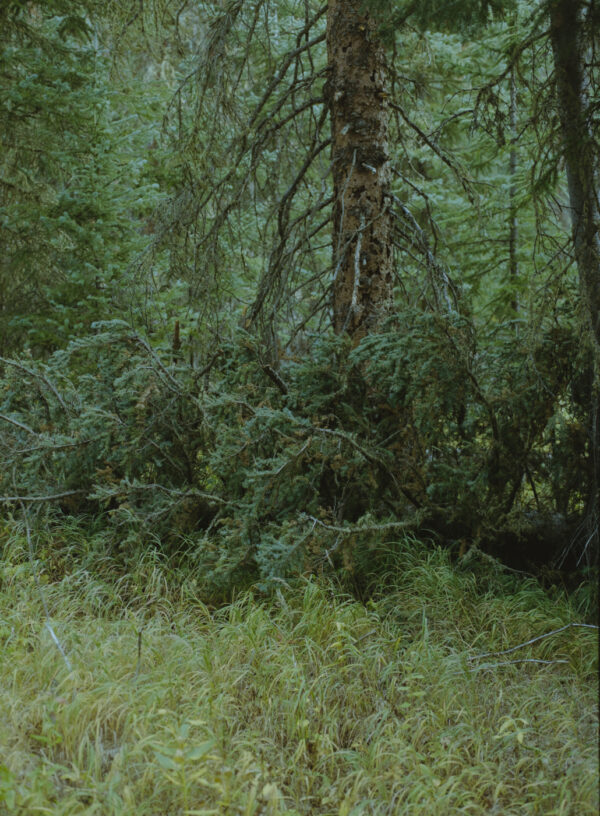  - Image 4 of 8