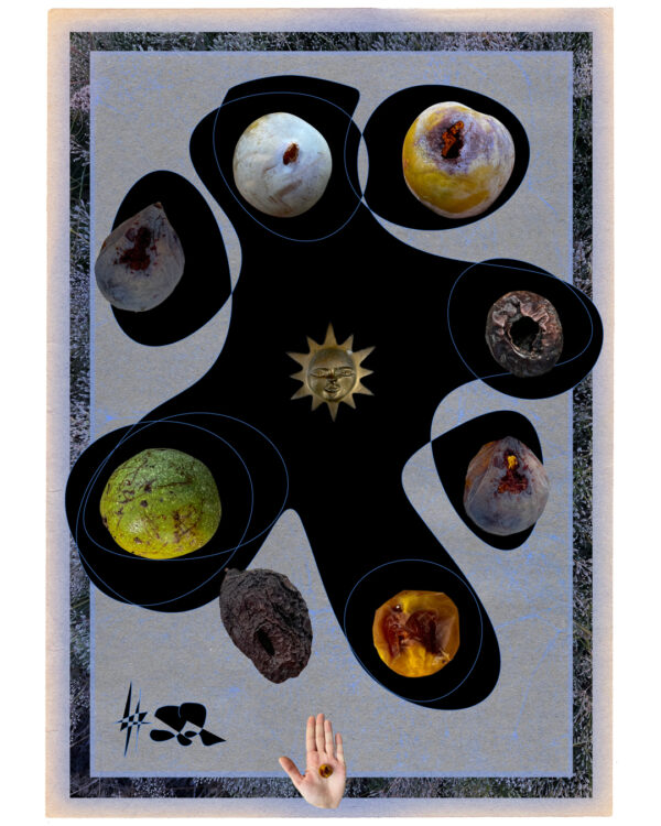  - Image 7 of 8