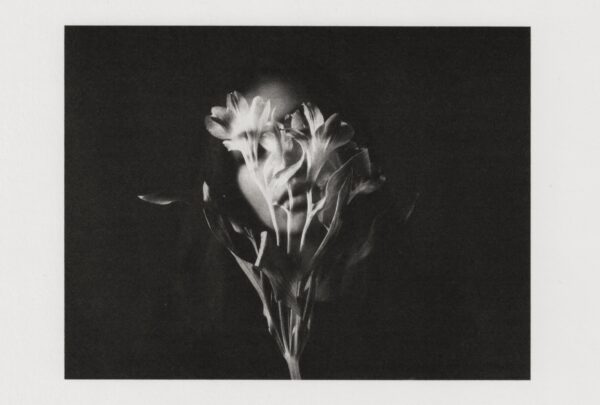  - Image 5 of 6