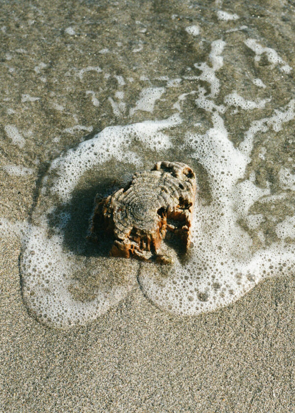  - Image 6 of 7