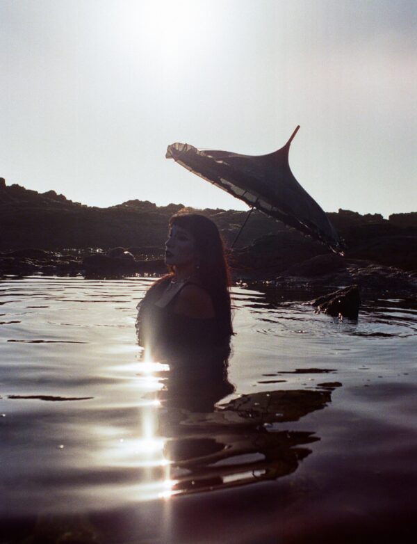  - Image 8 of 8