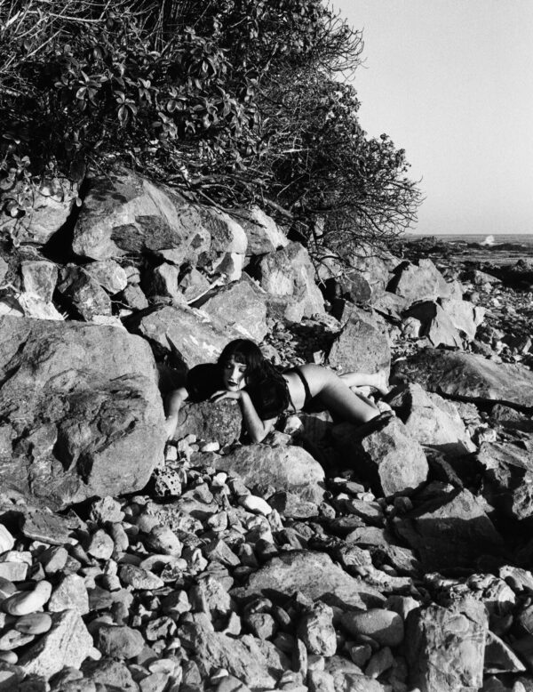  - Image 5 of 8