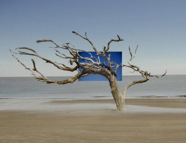  - Image 5 of 8