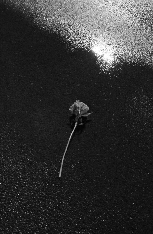  - Image 1 of 8