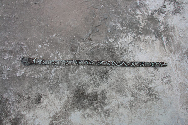  - Image 3 of 8