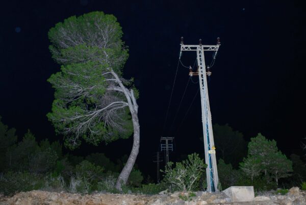  - Image 3 of 8